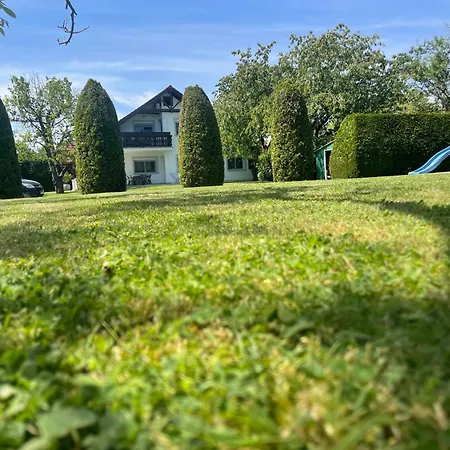 Frankie Iii. Balatongyörök